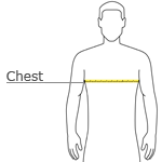 Adult Cotton T Shirt Sizes